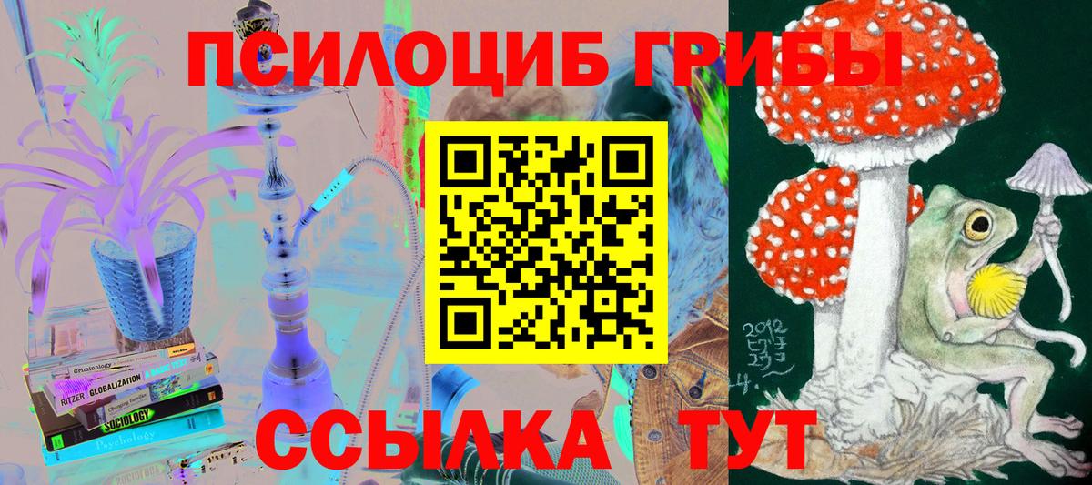 Галлюциногенные грибы мицелий Шадринск
